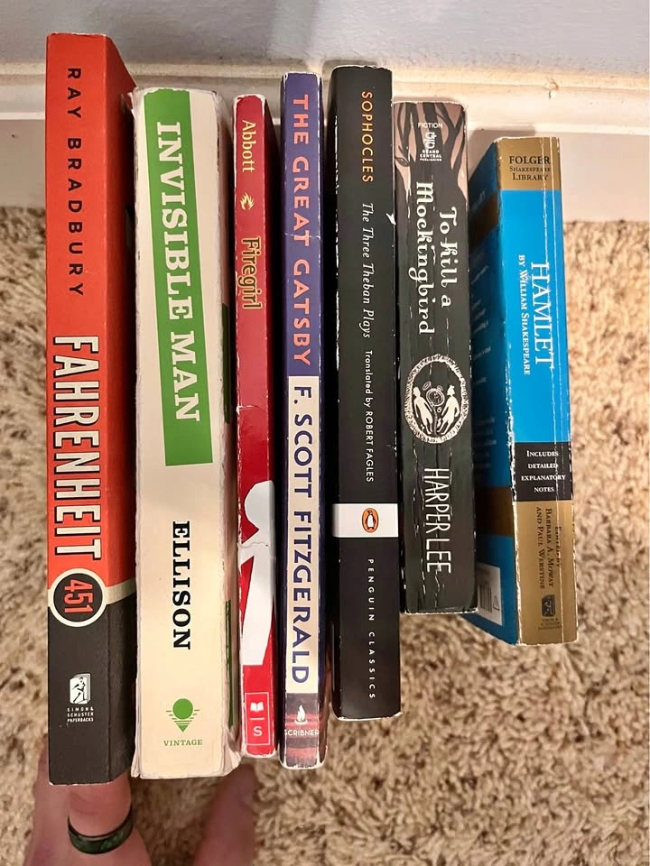 Classic English Literature Book Collection