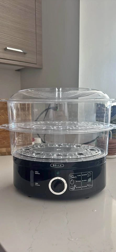 food steamer