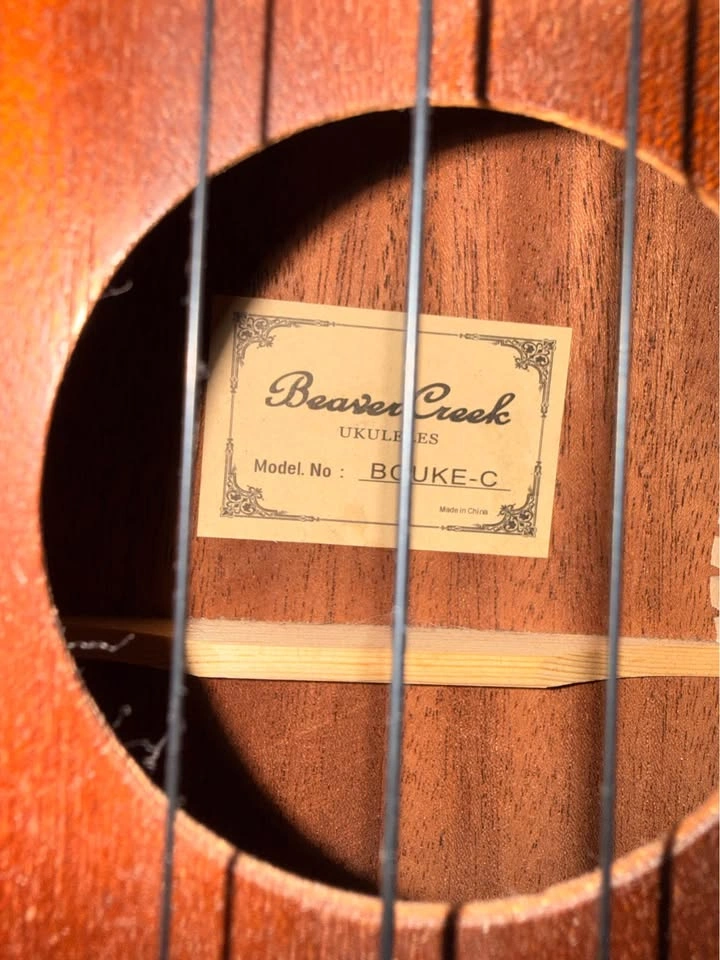Ukulele - photo 2