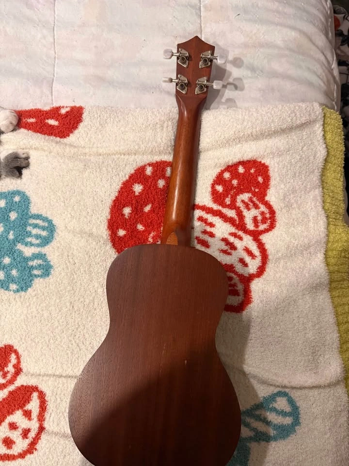 Ukulele - photo 3