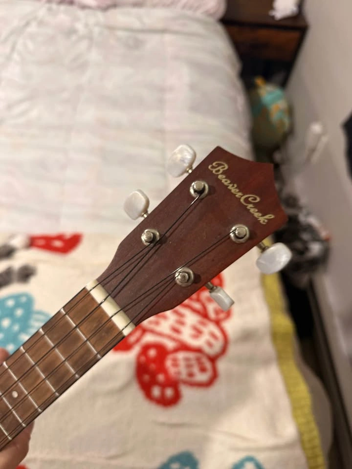 Ukulele - photo 5