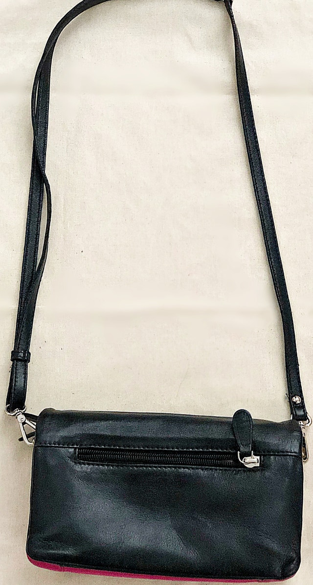 Danier genuine Leather Crossbody Bag