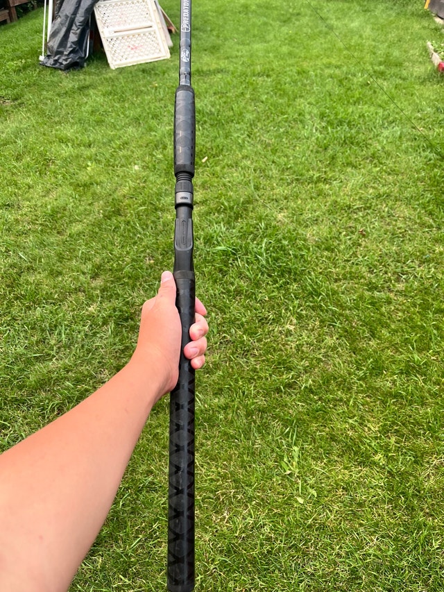 fishing rod - photo 4
