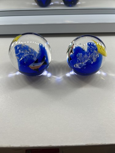 Pair of Fish Paperweights