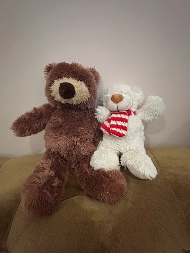 Assorted Plushies - photo 4