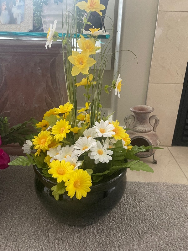 Summer is here! Take me home for $20!