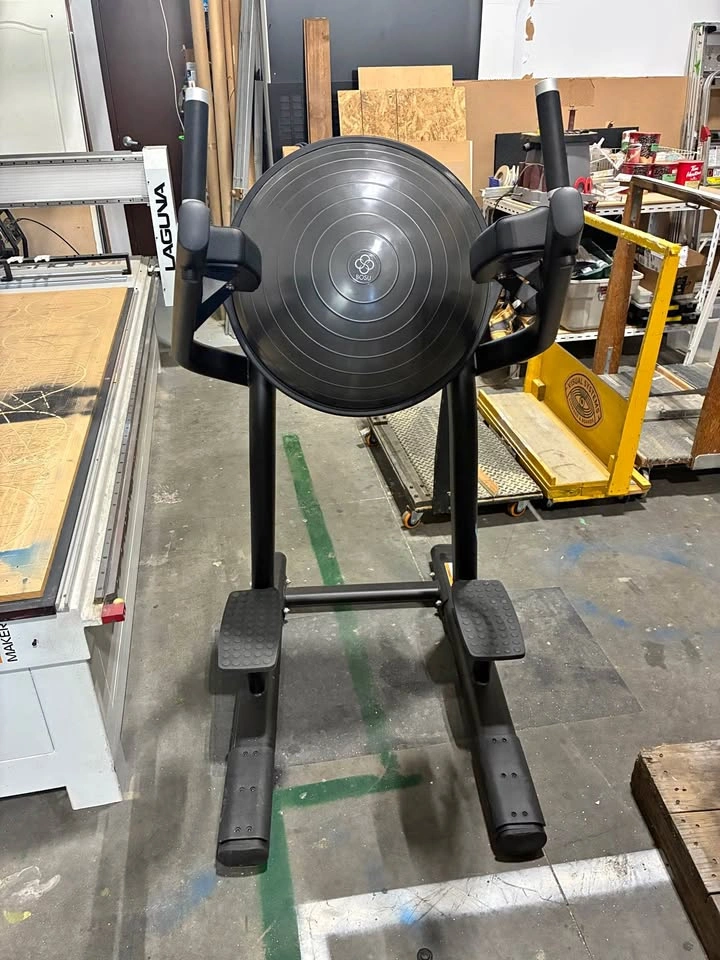 Life Fitness/Boss Dip Machine