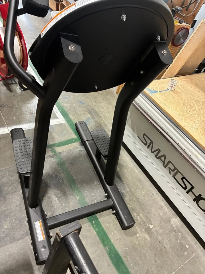 Life Fitness/Boss Dip Machine - photo 2