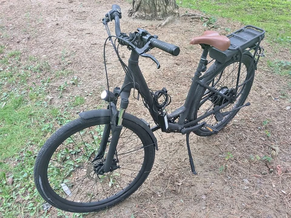 Delivery ebike