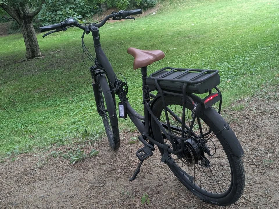Delivery ebike - photo 2