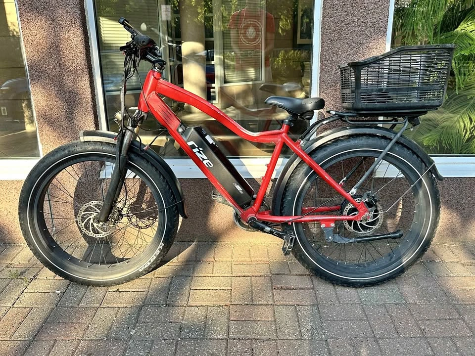 Rize 48v 20ah Lithium delivery bike