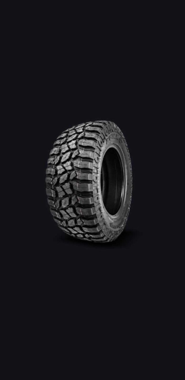 Rims + Tires - photo 5