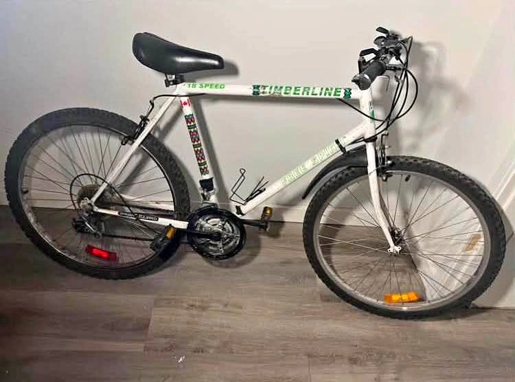 Free Spirit 18-speed bike (includes lock if you want it)