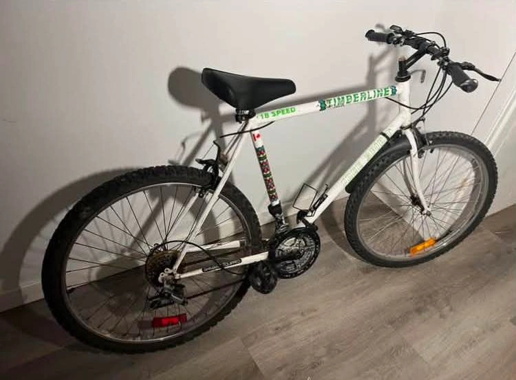 Free Spirit 18-speed bike (includes lock if you want it) - photo 3