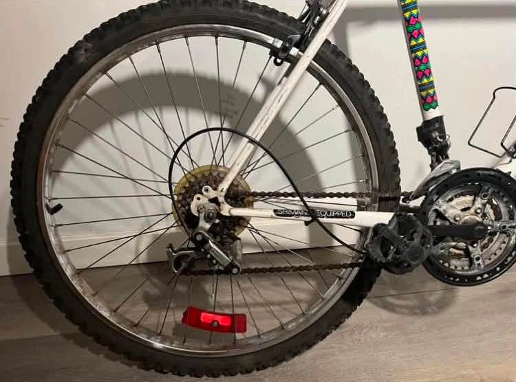 Free Spirit 18-speed bike (includes lock if you want it) - photo 4
