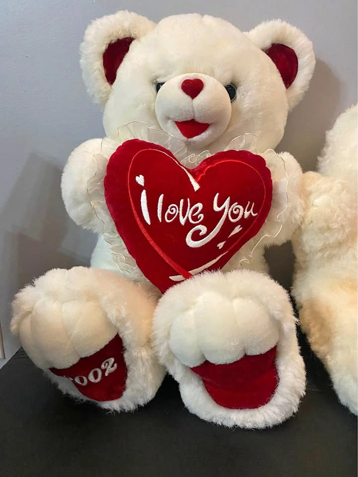 Collector teddy