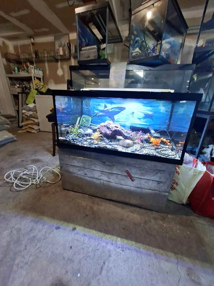 50 Gallon Aquarium Complete with Accessories