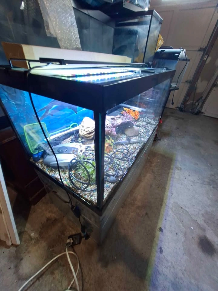 50 Gallon Aquarium Complete with Accessories - photo 5