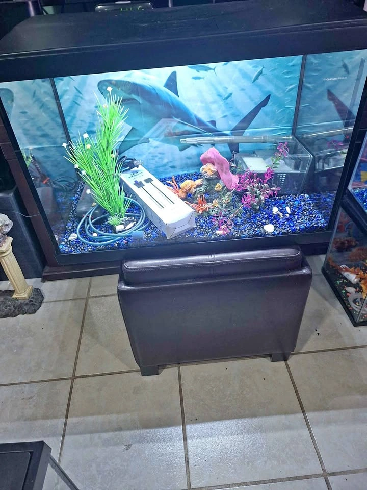 20 Gallon Aquarium with Accessories