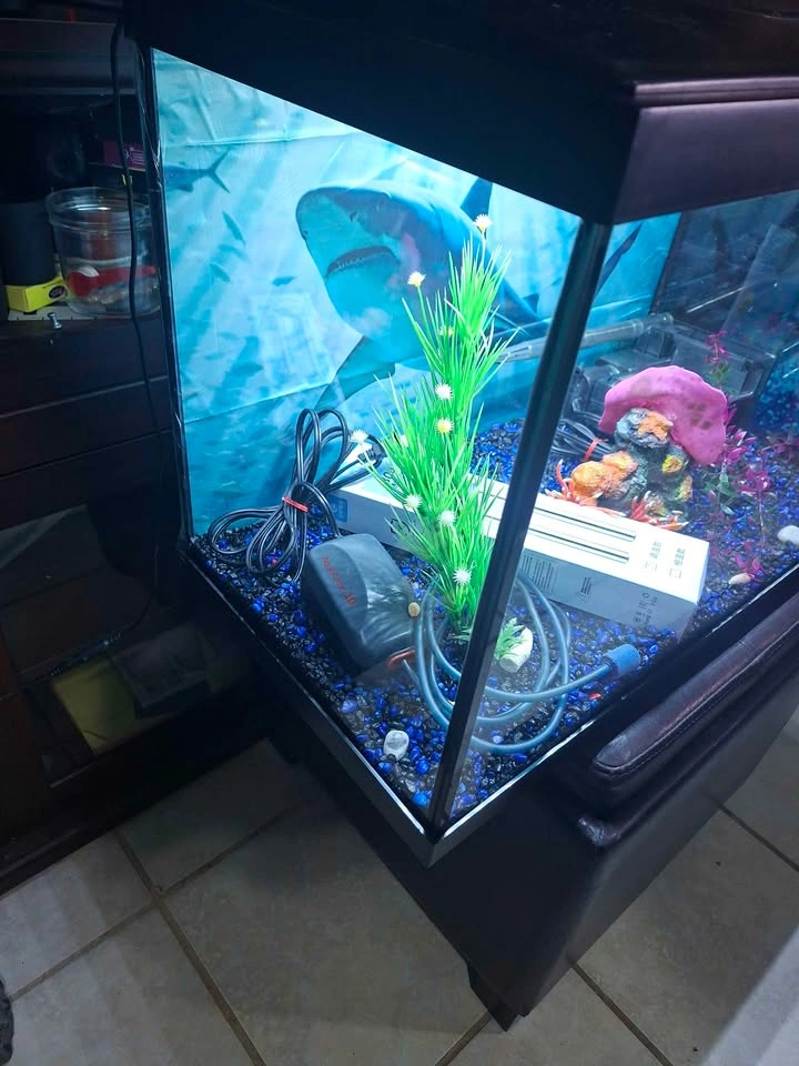 20 Gallon Aquarium with Accessories - photo 2