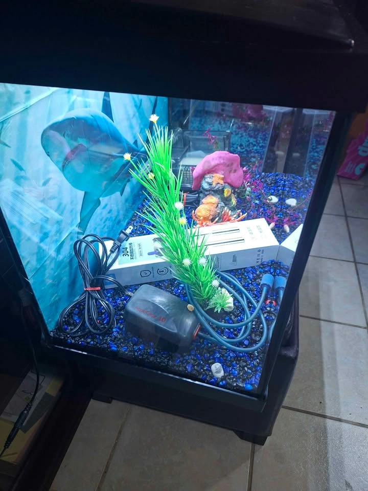 20 Gallon Aquarium with Accessories - photo 5