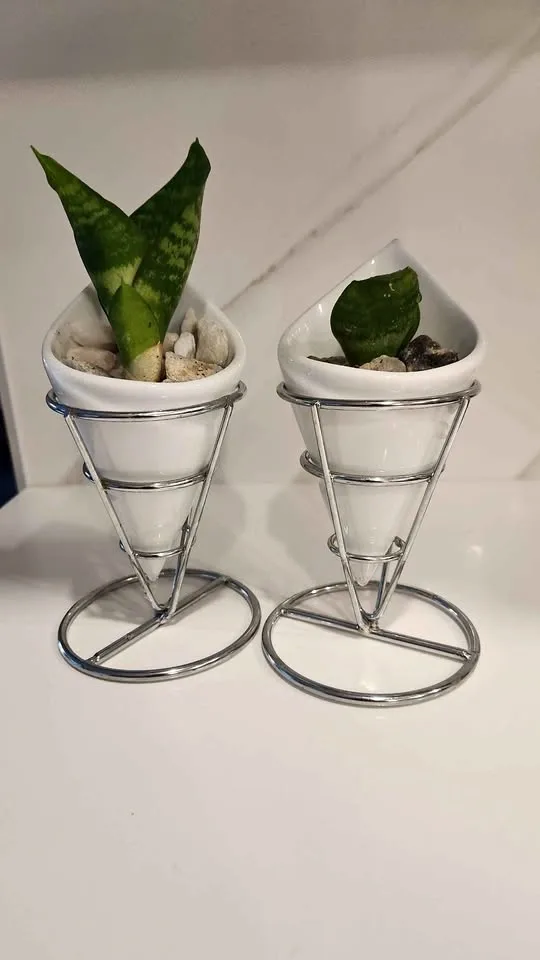 Upcycled French fry holder planters with plants