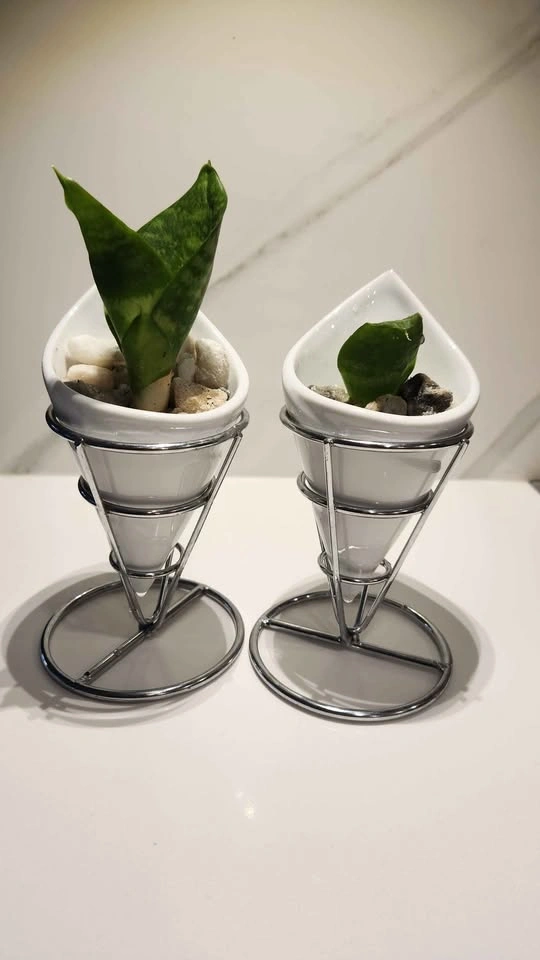 Upcycled French fry holder planters with plants - photo 2