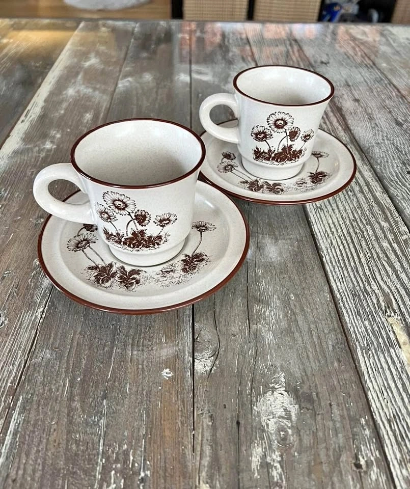 Stoneware Noritake Desert Flowers Set Of 2 Coffee Cup & Saucer