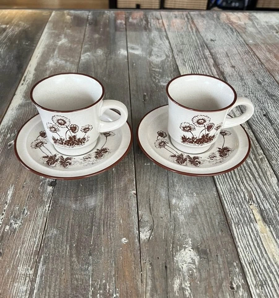 Stoneware Noritake Desert Flowers Set Of 2 Coffee Cup & Saucer - photo 2