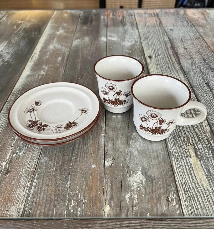 Stoneware Noritake Desert Flowers Set Of 2 Coffee Cup & Saucer - photo 4