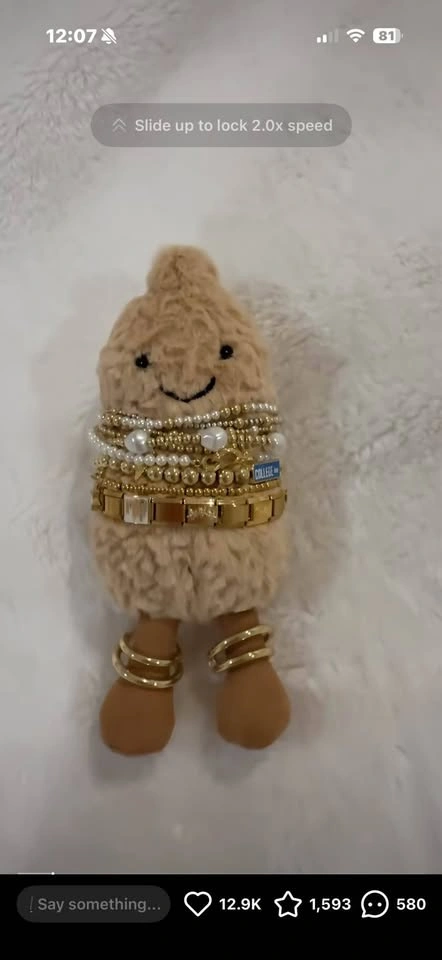 Cute Peanut Plushie for jewelry storage - photo 2