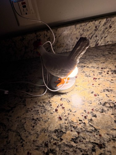 Chicken Egg Lamp USB Funny Animal Night Light Decoration - photo 5