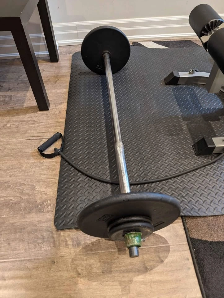 Gym Equipment: Bench, Barbell, Dumbbell Rods, York & Vinyl Weigh - photo 2