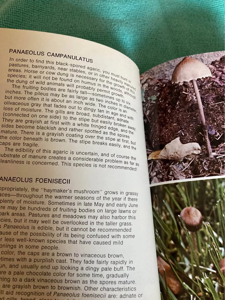 Vintage Mushroom Pocket Field Guide - Howard E. Bigelow (1979) - photo 4
