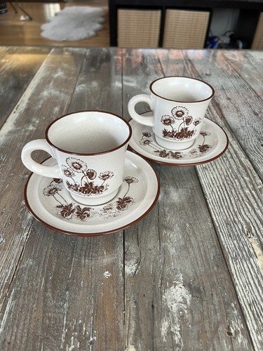 Noritake Desert Flowers Cup & Saucer Set of 2 Vintage Japan