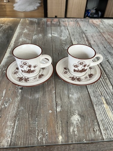 Noritake Desert Flowers Cup & Saucer Set of 2 Vintage Japan - photo 2