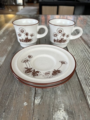 Noritake Desert Flowers Cup & Saucer Set of 2 Vintage Japan - photo 3