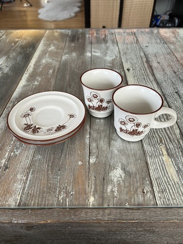 Noritake Desert Flowers Cup & Saucer Set of 2 Vintage Japan - photo 4
