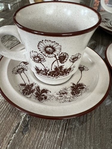 Noritake Desert Flowers Cup & Saucer Set of 2 Vintage Japan - photo 5