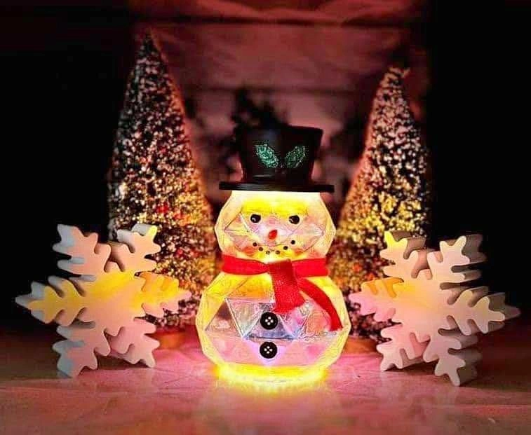 Scentsy Snow Stopper Warmer BNIB