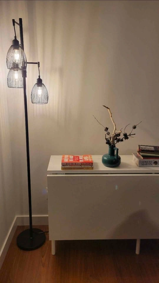 Dimmable Industrial 3-Light Tree Floor Lamp with Wire Cage Shade - photo 2