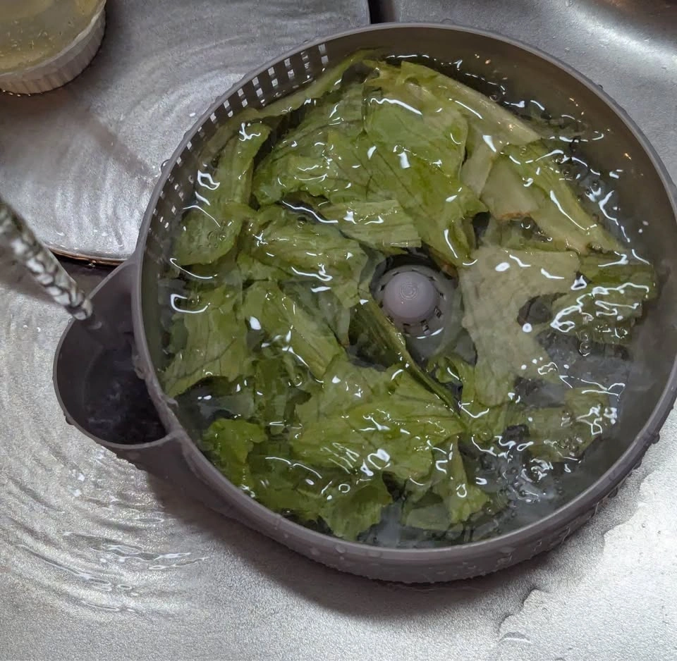 Rotating Vegetable Washer and Colander - photo 4