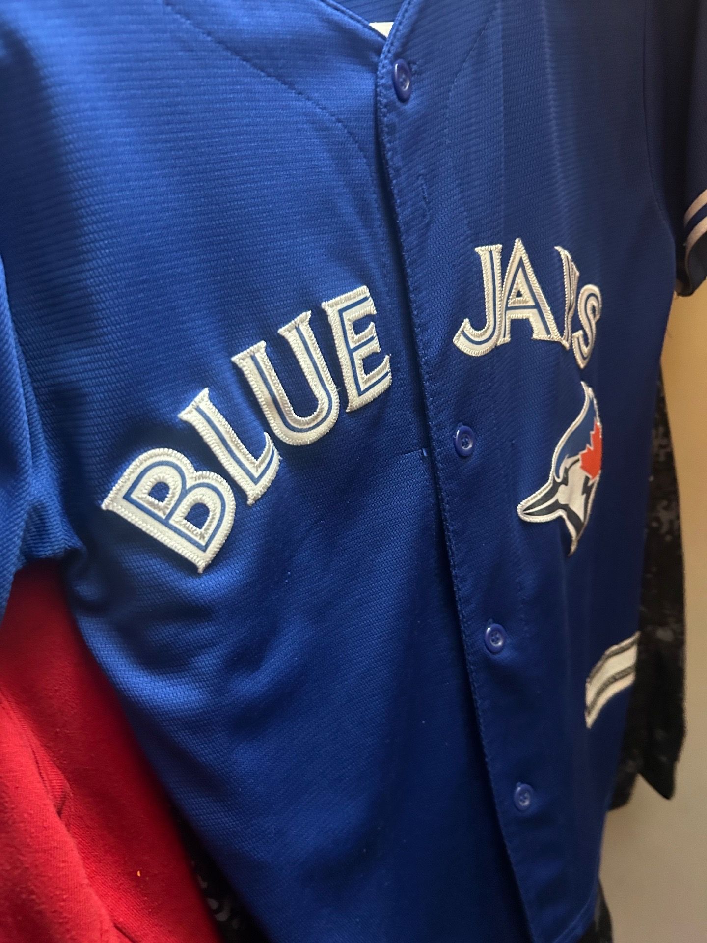 Blue Jay jersey
