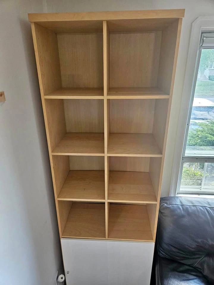 IKEA Billy Bookcase with Oxberg Door