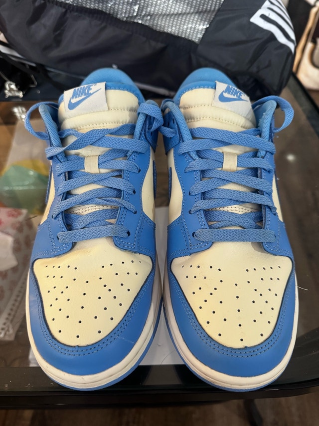 Nike Dunk Low Retro