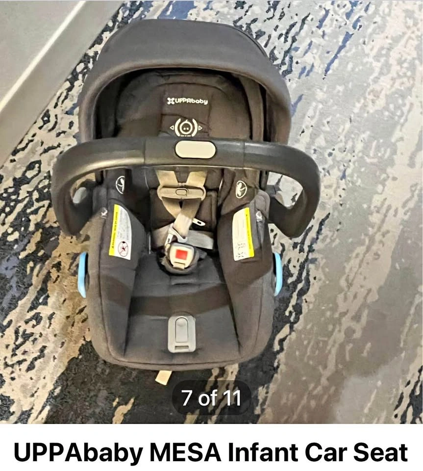 UPPAbaby MESA Infant Car Seat