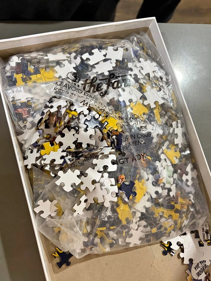 YouTheFan Michigan Wolverines Game Day 1000pc Puzzle