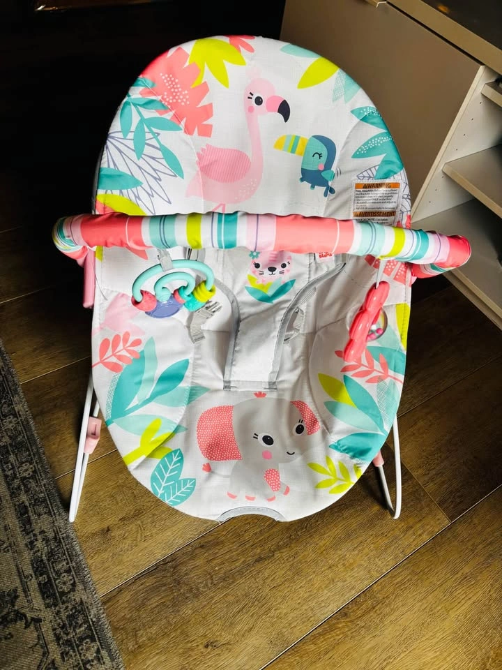 Bright Star Flamingo Vibes Bouncer - photo 3