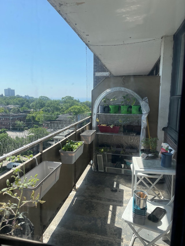 Greenhouse IKEA Asparen (fits small balcony!) - photo 2