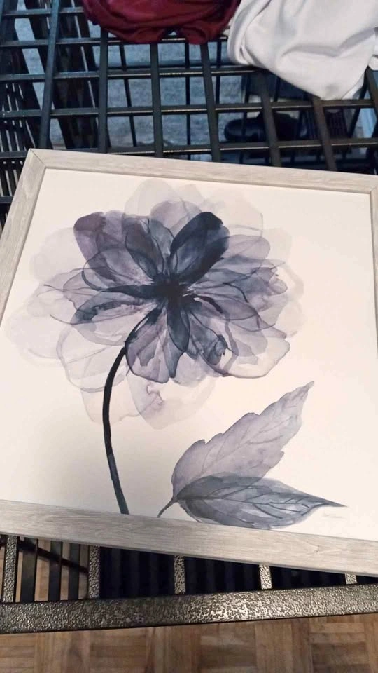Framed Watercolor Floral Wall Art